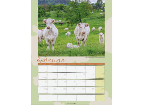 Kuh Kalender