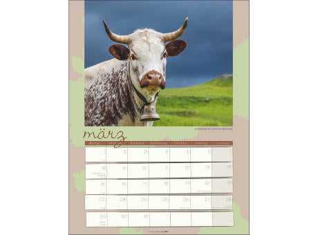Kuh Kalender