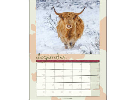 Kuh Kalender