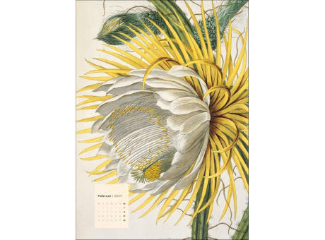 Botanicals