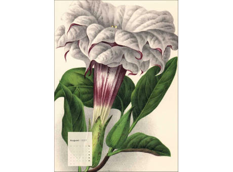 Botanicals