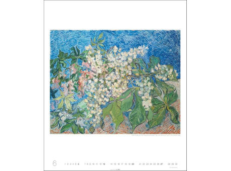 Vincent van Gogh Edtion