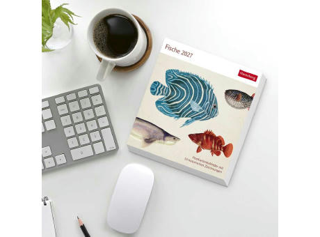 Fische Postkartenkalender