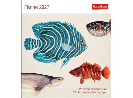 Fische Postkartenkalender