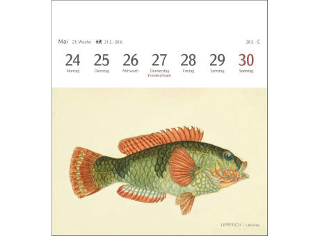Fische Postkartenkalender