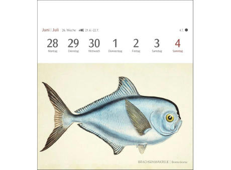 Fische Postkartenkalender