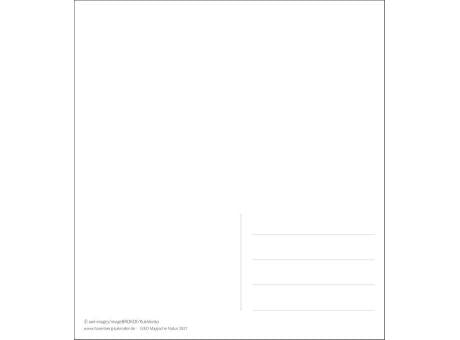 GEO Magische Natur Postkartenkalender