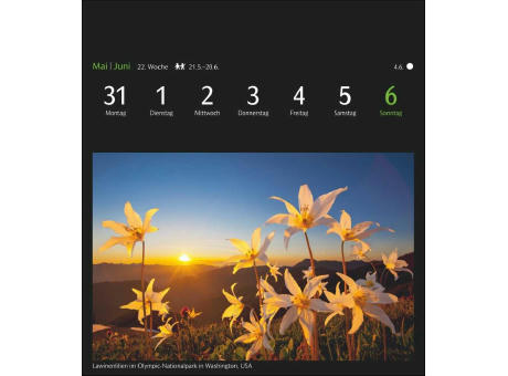 GEO Magische Natur Postkartenkalender
