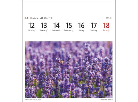 Provence Sehnsuchtskalender