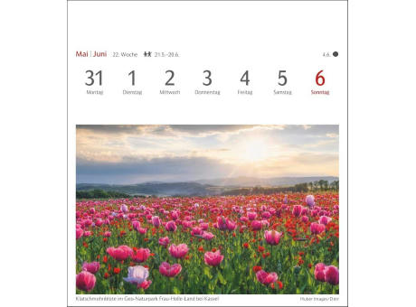 Lichtblicke Postkartenkalender