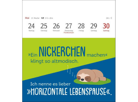 Der fette Vogel bricht den Ast Postkartenkalender