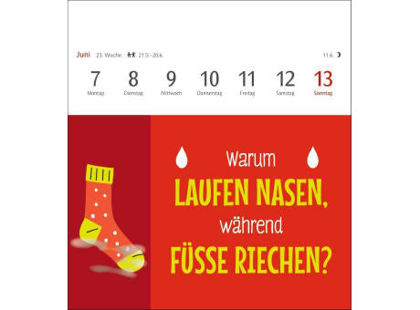 Der fette Vogel bricht den Ast Postkartenkalender
