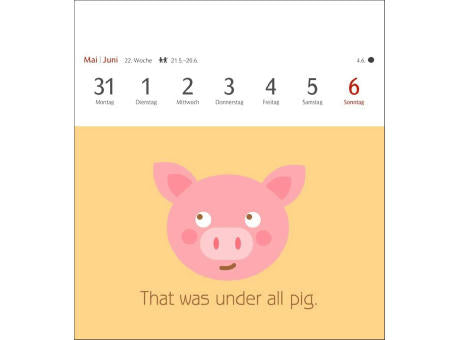 Now I know how the rabbit runs Postkartenkalender