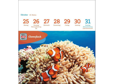 WAS IST WAS Geniale Tiere Postkartenkalender