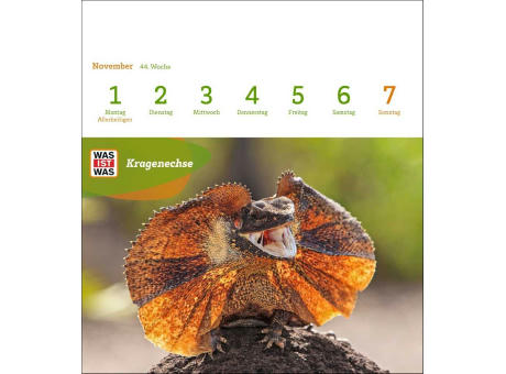 WAS IST WAS Geniale Tiere Postkartenkalender
