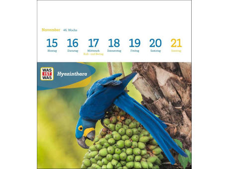 WAS IST WAS Geniale Tiere Postkartenkalender