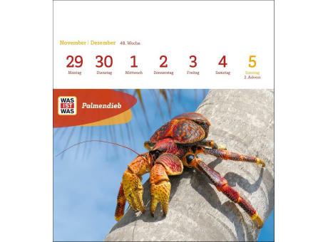 WAS IST WAS Geniale Tiere Postkartenkalender