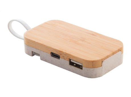 USB Hub Holbaru