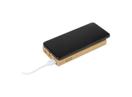 Powerbank Wooster