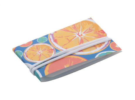 Gesichtsmasken-Etui MasCase