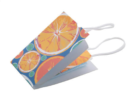 Gesichtsmasken-Etui MasCase