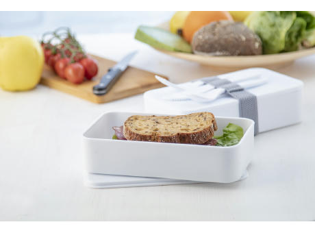 Antibakterielle Lunchbox Ayam