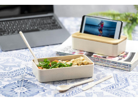 Lunchbox Laksa
