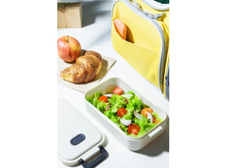 Lunchbox Steamo
