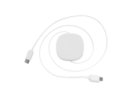 60W USB-C-Ladekabel RABS Cabsle