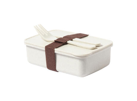 Lunchbox Adobo