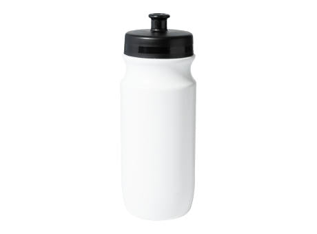 Trinkflasche Palmares