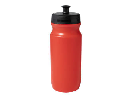 Trinkflasche Palmares