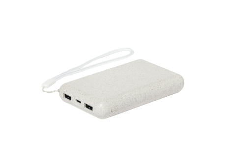 Powerbank Surum