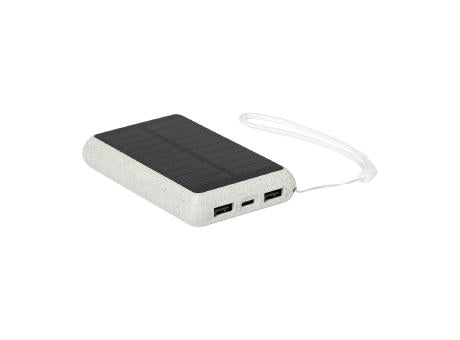 Powerbank Surum