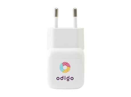 Belkin 45W USB PD Wall Charger with PPS and Cable
