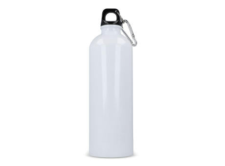 R-Edelstahl einwandige Flasche mit Karabiner 750ml