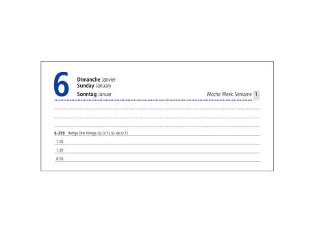 Tageskalender Manager Monatsregister EXPRESS Mo.–So. je 1 Seite Kunstleder