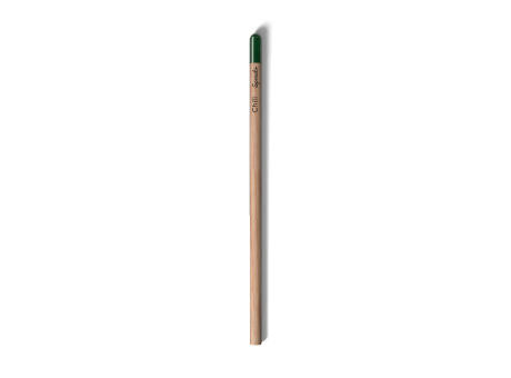 Sprout™ | Bleistift
