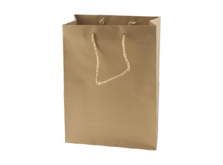 Glänzende Papiertaschesilber und gold 220x290x100 mm