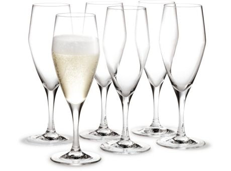 Holmegaard Perfection Champagnerglas 6er Set 23cl