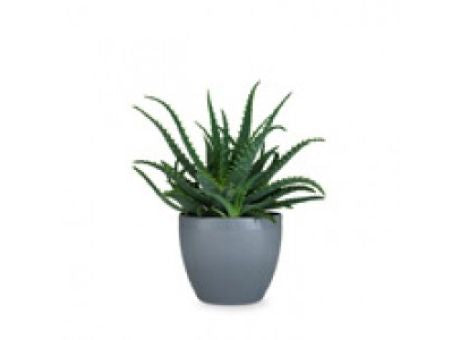 Rosendahl Grand Cru Übertopf Ø14cm grau