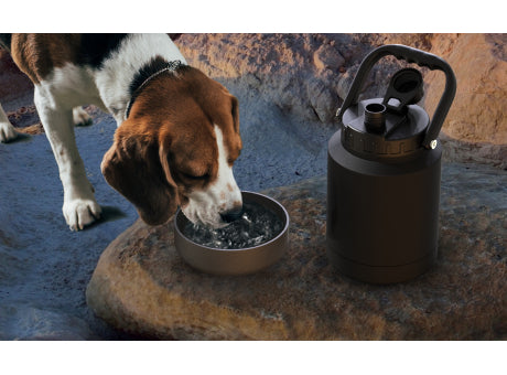 ASOBU MIGHTY JUG SJU1Isoliertrinkflasche SILICONE DOG BOWL COPPER