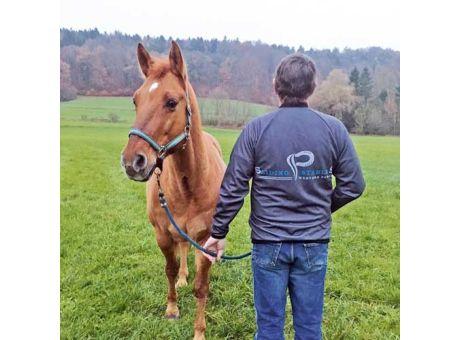 Jacke Jacket für Erwachsene