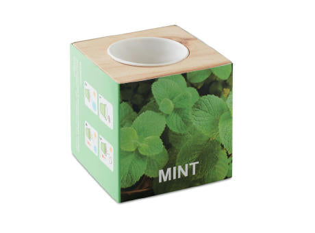 Kräuterpflanz-Set "Minze''