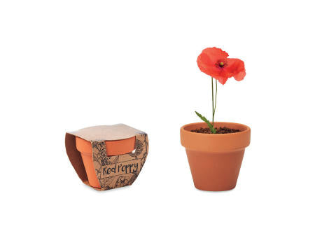 Terracotta-Topf Mohnblume
