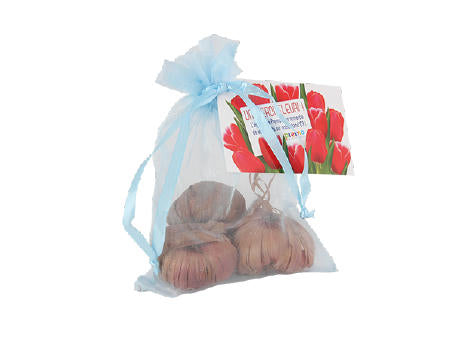 Beutel Organza mit 3 Tulpenzwiebeln und Karte 4c Druck 1 Seite