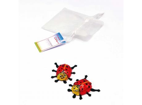 Organzasäckchen "Good Luck", mit Kärtchen