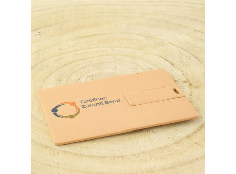 CC01R USB 2.0 COB 64 MB Recycling
