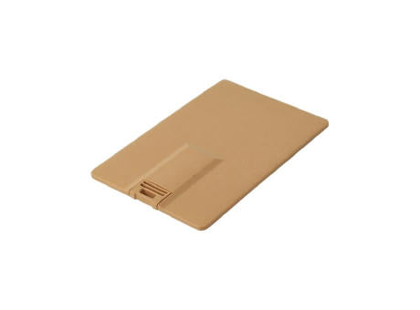 CC01R USB 2.0 COB 64 MB Recycling