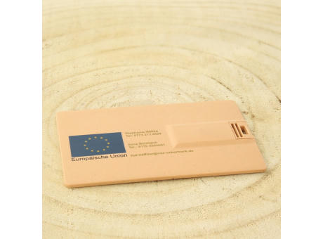 CC01R USB 2.0 COB 64 MB Recycling